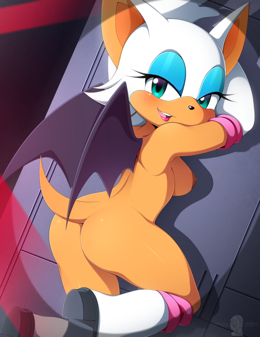 Rouge The Bat (Sonic (Series)) Rule 34 Image