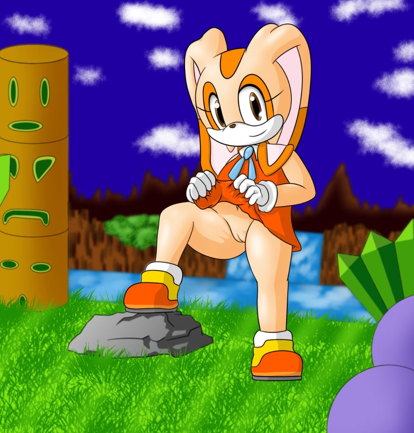 Cream The Rabbit (Sega) Rule 34 Image