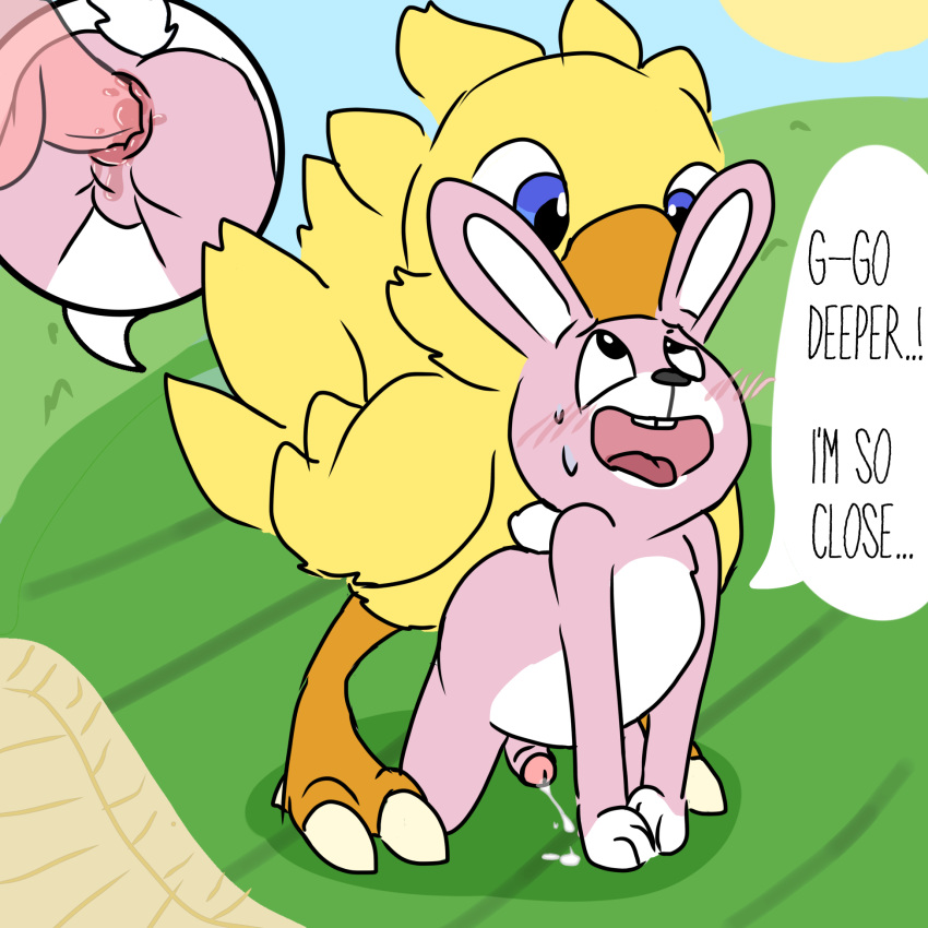 Chocobo (Final Fantasy) Rule 34 Image