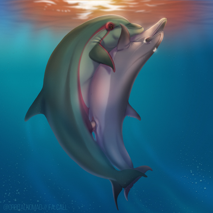 1:1 animal_genitalia animal_penis cetacean cetacean_penis cetacean_pussy delphinoid duo female feral feral_on_feral genital_slit genitals hi_res male mammal marine penetration penis slit straight toothed_whale underwater vagabond_(artist) vaginal_penetration water