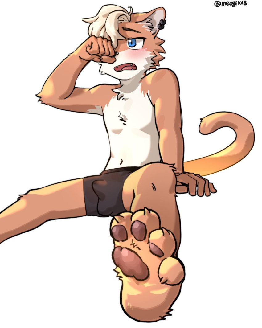 2025 Rule 34 Image