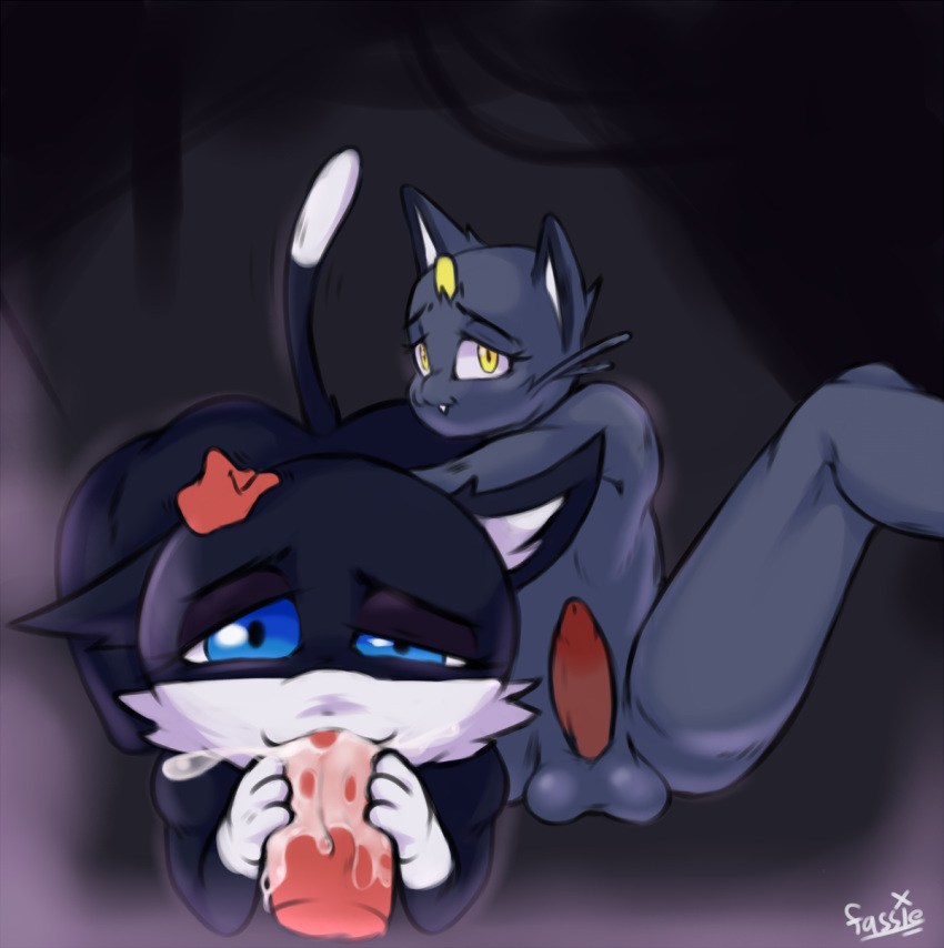 2boys alolan_meowth anthro atlus balls blue_eyes crossover cum cum_in_mouth disembodied_hand disembodied_penis feline gay meowth morgana_(persona) oral oral_sex penis persona persona_5 pokemon promiscuousmaractus spread_legs tagme