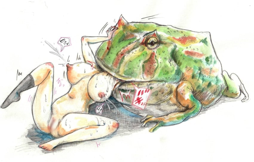 2023 ambiguous_gender amphibian areola big_breasts biped bodily_fluids breasts censored censored_genitalia censored_pussy clothing duo female female/ambiguous female_prey feral feral_pred fingers footwear frog genitals hi_res human human_on_feral human_prey interspecies lactating mammal nipples pussy quadruped socks vore yukikingyoo zoophilia