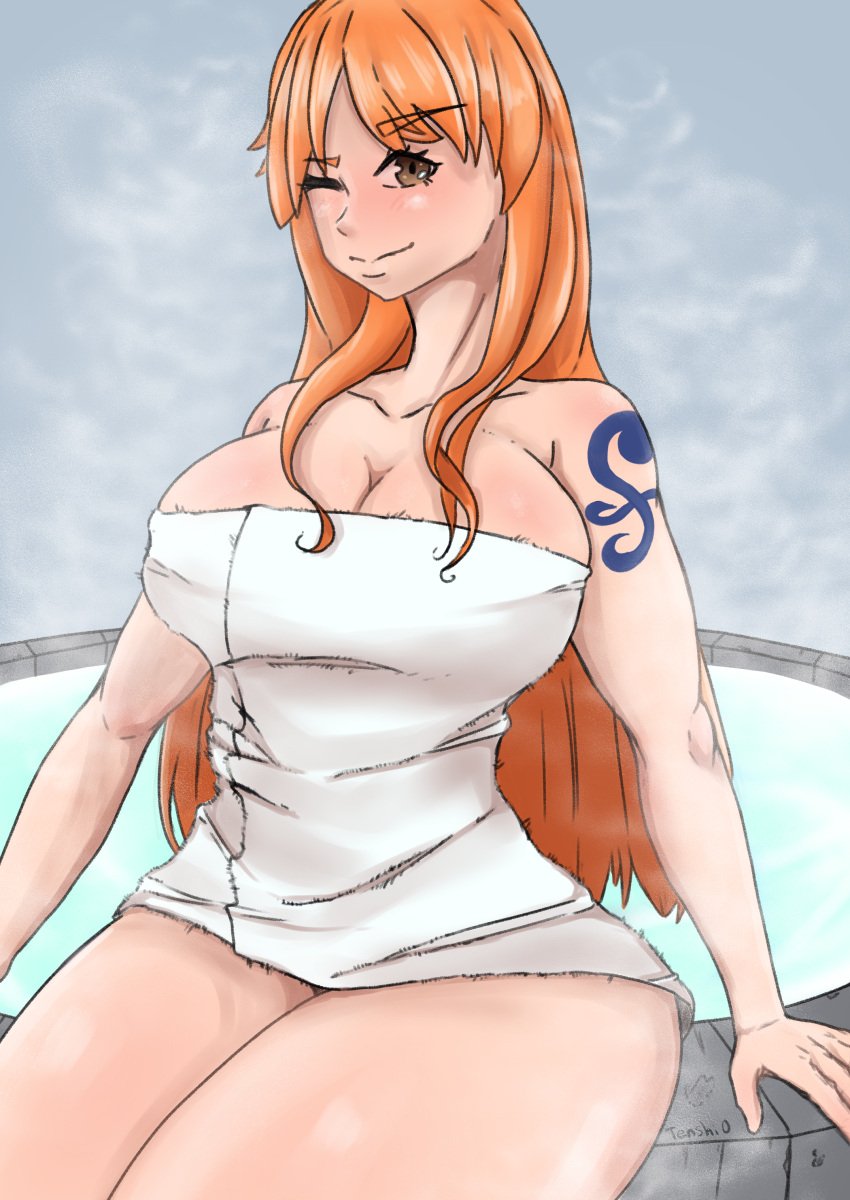 female female_only nami nami_(one_piece) one_piece post-timeskip tenshio