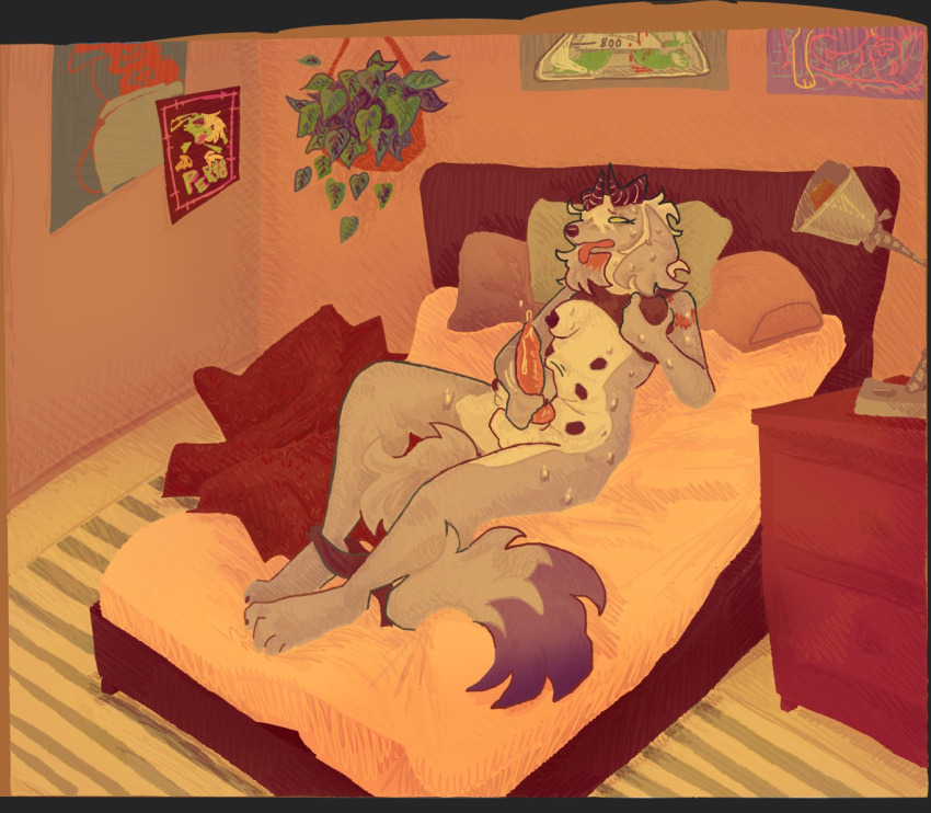 animal_genitalia animal_penis anthro bed bedroom_background bodily_fluids breast_squeeze breasts canid canine canine_genitalia canine_penis canis detailed_background domestic_dog furniture futanari genital_fluids genitals guncht gynomorph intersex mammal masturbation nipples penis plant precum solo squeezing