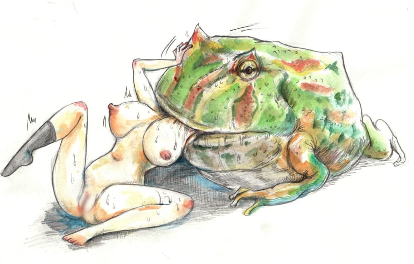 2023 ambiguous_gender amphibian areola big_breasts biped breasts censored censored_genitalia censored_pussy clothing duo female female/ambiguous female_prey feral feral_pred fingers footwear frog genitals hi_res human human_on_feral human_prey interspecies mammal nipples pussy quadruped socks vore yukikingyoo zoophilia