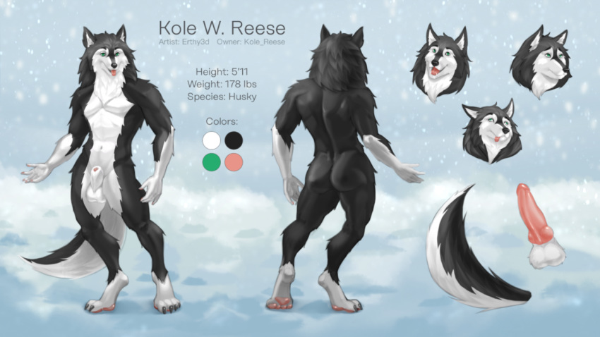 1boy anthro canid canine canis domestic_dog erthy3d genitals husky male male_only mammal model_sheet nordic_sled_dog patreon penis simple_background solo spitz standing