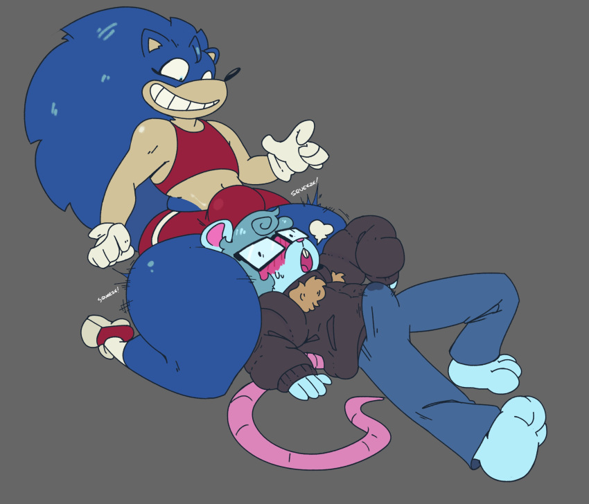 Sonic The Hedgehog (Sega) Rule 34 Image