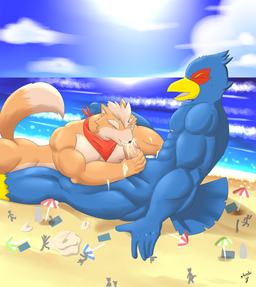 anthro avian beach cum cum_in_mouth falco_lombardi fellatio fox fox_mccloud gay macro male male_only muscles muscular muscular_male nintendo oral penis sex shinobiya star_fox sucking yaoi