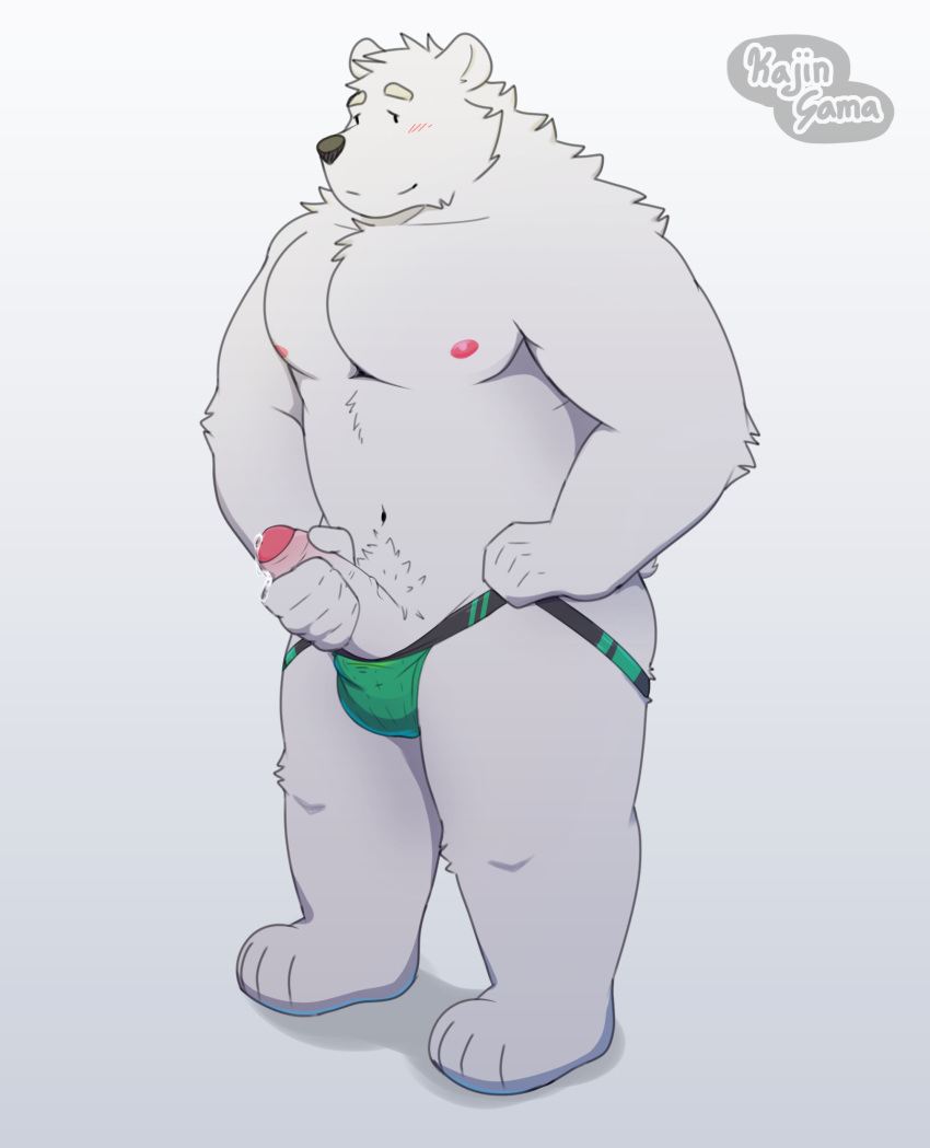 2020 absurd_res anthro belly bodily_fluids bulge clothing cum fur genital_fluids genitals hi_res humanoid_hands jockstrap kajin-sama male male_only mammal masturbation moobs nipples penis polar_bear precum pubes simple_background solo underwear ursid ursine white_background white_body white_fur