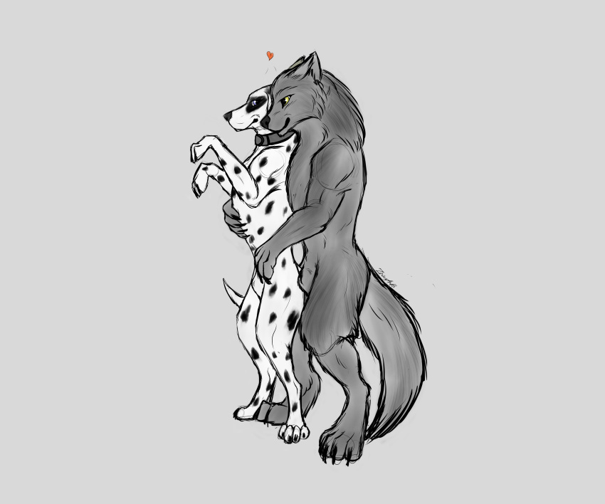 absurd_res animal_genitalia anthro canid canine canis collarclaws dalmatian domestic_dog duo feral fur genitals hi_res hug hugging_from_behind male male/male mammal paws sheath smile spots spotted_body spotted_fur standing_on_hind_legs wolf zirius