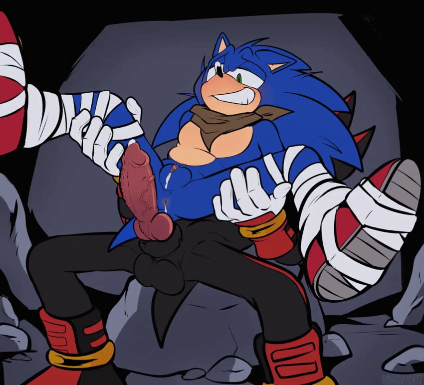 Shadow The Hedgehog (Sega) Rule 34 Image