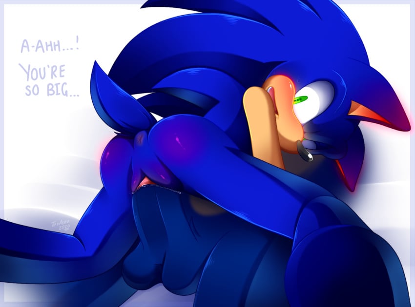 andromorph anthro anus ass balls blush cuntboy dark_sonic duo genitals hi_res intersex intersex/male jayaero male nude penis pussy rule_63 sega sonic_(series) sonic_the_hedgehog sonic_the_hedgehog_(series) sonic_x tms_entertainment vaginal_penetration