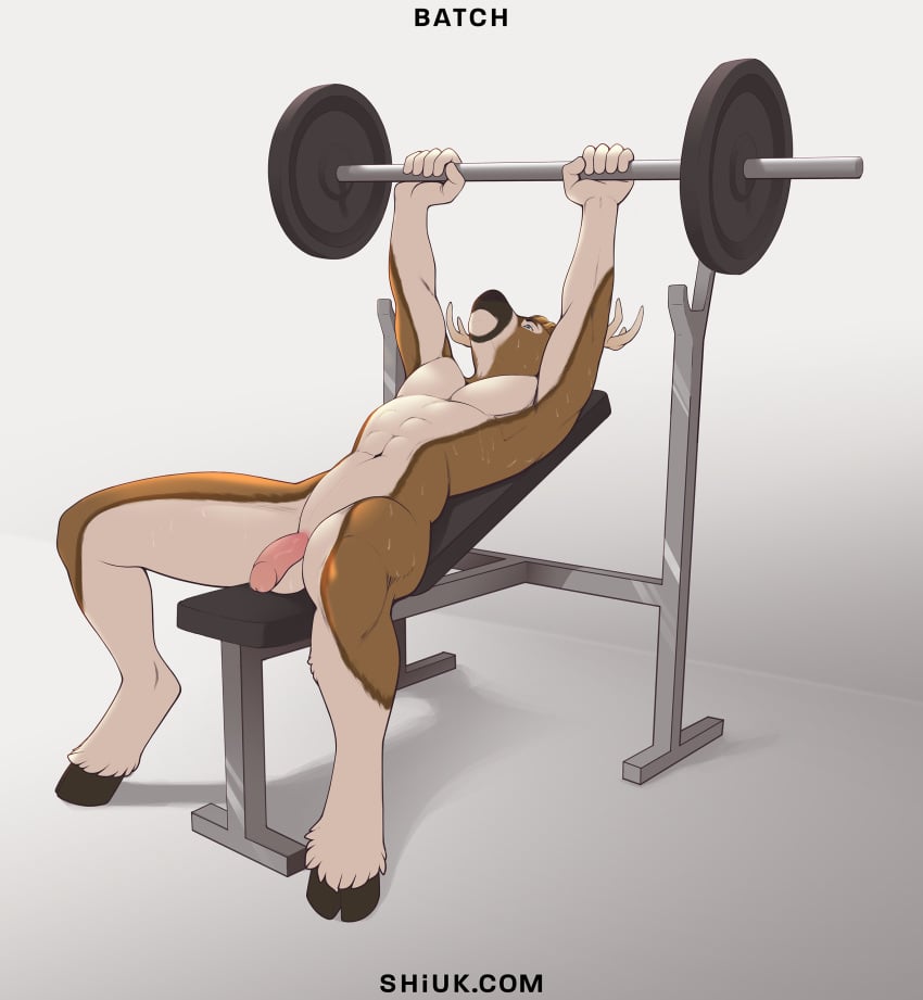 2020 5_fingers abs absurd_res anthro antlers balls barbell batch_(righthandtoaster) bench_press bodily_fluids cervid exercise fingers fur genitals glans hi_res hooves horn humanoid_genitalia humanoid_penis male male_only mammal penis shiuk solo sweat text url