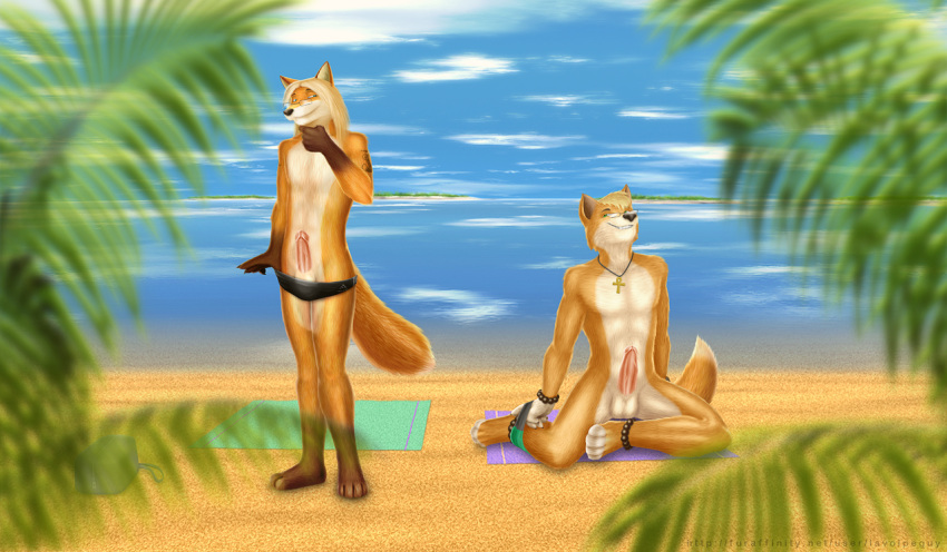 abs ankh anthro balls beach black_nose blue_eyes bracelet brown_body brown_fur canid canine canis clothed clothing detailed_background dingo duo erection eyewear fox fur genitals glasses green_eyes hair humanoid_genitalia humanoid_penis jcfox jewelry la_volpe long_hair luca_dingo male male_only mammal muscular orange_body orange_fur outside penis sand sea seaside skimpy sky smile speedo swimwear tattoo topless underwear water white_body white_fur