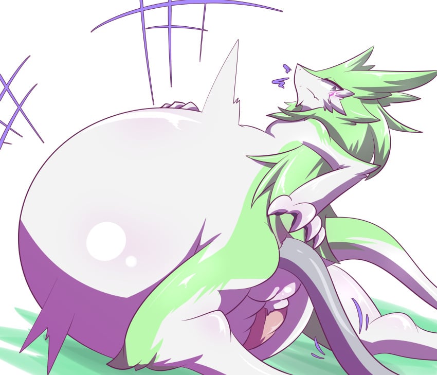 absurd_res anal anal_sex anthro balls belly belly_expansion big_belly genitals hi_res hose hyper hyper_belly igaguriioi inflation male nul penetration penis penis_against_belly sergal solo