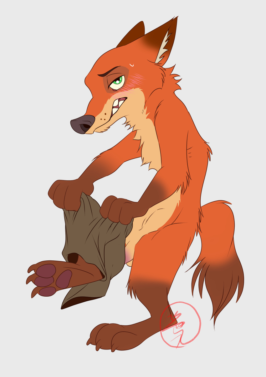 absurd_res anthro arm_tuft balls blush bodily_fluids canid canine cheek_tuft chest_tuft clothing disney elbow_tufts facial_tuft fluffy fox genitals gloves_(marking) green_eyes grey_background hi_res inner_ear_fluff male male_only mammal markings neck_tuft nick_wilde penis red_fox sasamaru simple_background solo sweat sweatdrop tuft zootopia