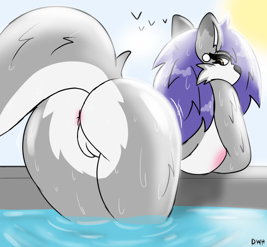Wolfie (Wolfpack X) Rule 34 Image