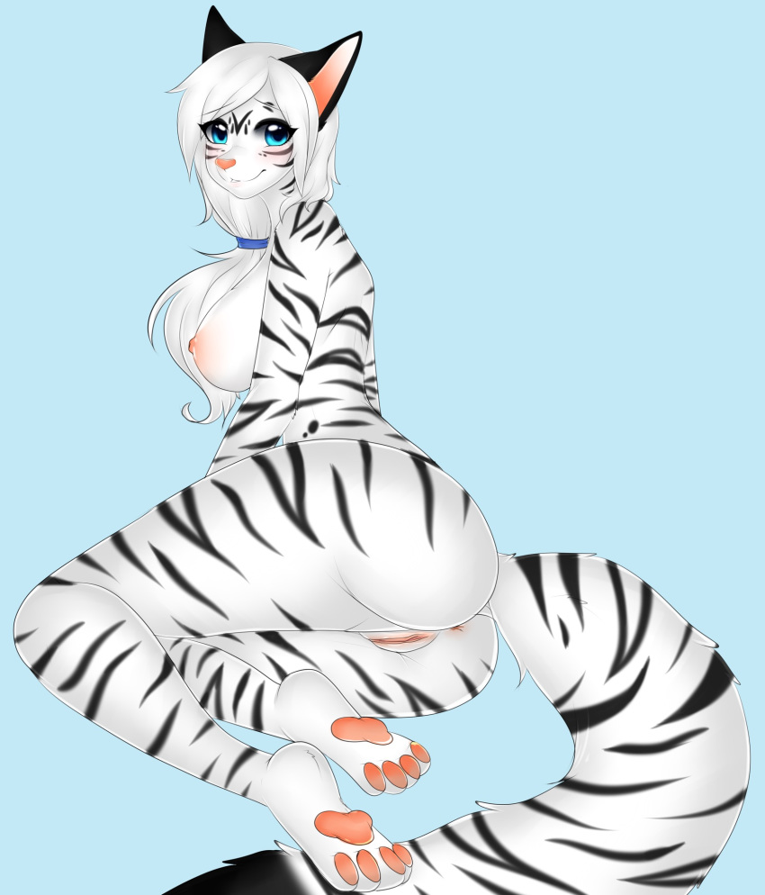 anthro anus black_stripes blue_eyes breasts felid female fur genitals hair hi_res long_hair long_tail mammal melody_(sakuradlyall) nipples pantherine pawpads pussy side_boob simple_background sm0shy solo stripes tiger white_body white_fur