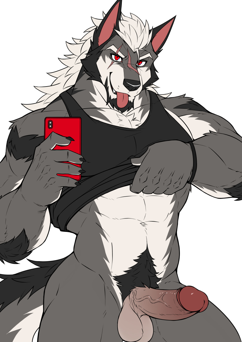 1boy abs bara big_penis boner canine drks drks_(drks) fluffy fluffy_tail furry gray_fur gray_hair humanoid_penis kemono male male_only muscle muscles muscular partially_clothed pecs penis red_eyes scar scars solo solo_male tail tongue_out undershirt underwear undressing yiff