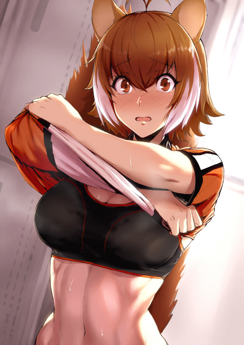 animal_ears blazblue blush brown_hair embarrassed huge_breasts makoto_nanaya purinnssu shirt_lift short_hair sports_bra squirrel_ears squirrel_humanoid toned wet