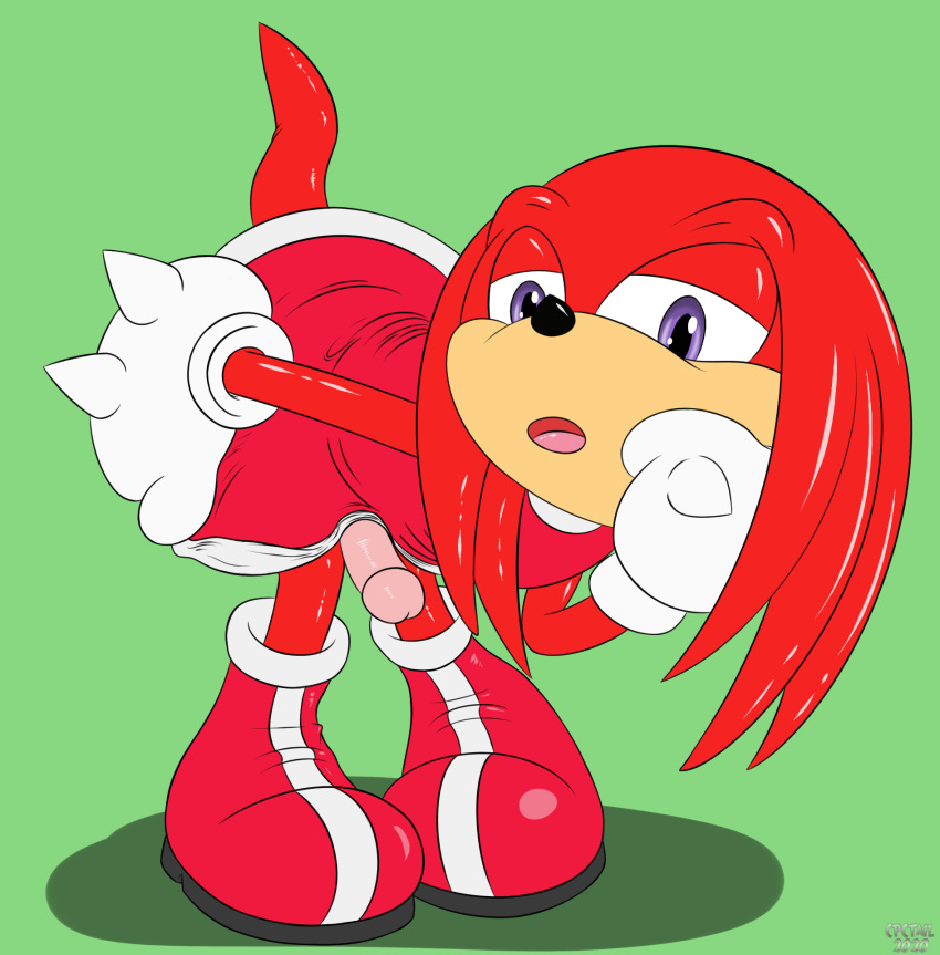 amy_rose_(cosplay) clothed clothing cosplay cpctail crossdressing genitals girly hi_res humanoid_genitalia humanoid_penis knuckles_the_echidna male male_only penis solo sonic_(series) sonic_the_hedgehog_(series)