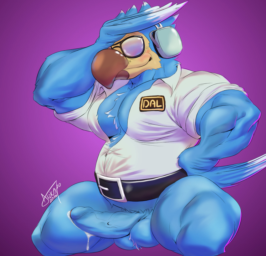 1boy 2020 animal_crossing anthro arkanoego avian balls belly belt biped bird blue_balls blue_body blue_feathers blue_penis bodily_fluids bottomless chest_tuft clothed clothing crouching digital_media_(artwork) dripping erection eyewear feathers genital_fluids genitals glasses hand_on_head hand_on_hip headphones hi_res humanoid_genitalia humanoid_penis leaking male male_only muscular muscular_male nintendo pecs penis precum purple_background quads shirt simple_background solo solo_male sunglasses topwear tuft uncut vein veiny_penis video_games white_clothing white_shirt white_topwear wilbur_(animal_crossing) wings