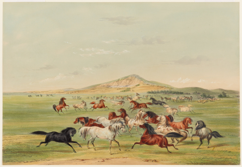 Lithograph (Artwork) Rule 34 Image