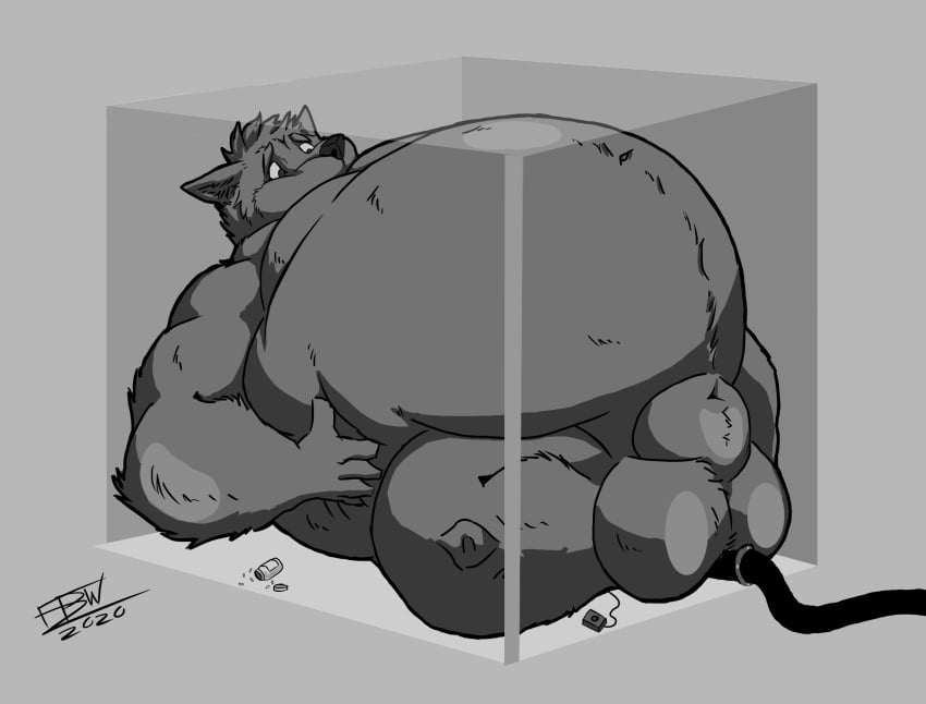 air_(disambiguation) air_hose air_inflation animal_genitalia balls belly big_penis black_and_white bloating body_inflation canid canine canis forced_inflation fullbodywolf fur genitals grabbing grey_body grey_fur growing growth hi_res hose huge_cock hyper hyper_genitalia hyper_penis inflation inside lying male male_only mammal monochrome muscle_growth muscle_inflation near_bursting penis pump room_filling_inflation sheath sheath_inflation solo stressed stretching stuck wolf