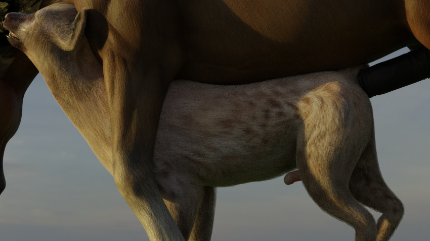 16:9 2020 3d anal anal_sex animal_genitalia animal_penis duo equid equine equine_penis feral genitals hi_res hiad hyaenid male male/male male_focus male_penetrated male_penetrating male_penetrating_male mammal medial_ring outside penetration penis sex spotted_hyena widescreen