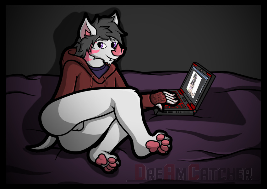 2020 anthro ass balls bed bottomless chiropteran claws clothed clothing computer digital_media_(artwork) dreamcatcher_(artist) fangs fur furaffinity furniture genitals hair hi_res hoodie inside laptop looking_at_viewer lying male male_only mammal mayler on_bed on_side paws shadow shaggy_hair smile solo teeth topwear white_body white_fur