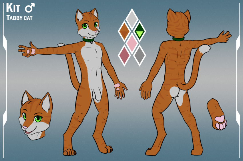 anthro balls bell bell_collar collar domestic_cat felid feline felis flaccid foreskin fur genitals green_eyes kit_blackstone linkscape male mammal model_sheet orange_body orange_fur pawpads penis solo tabby_cat uncut