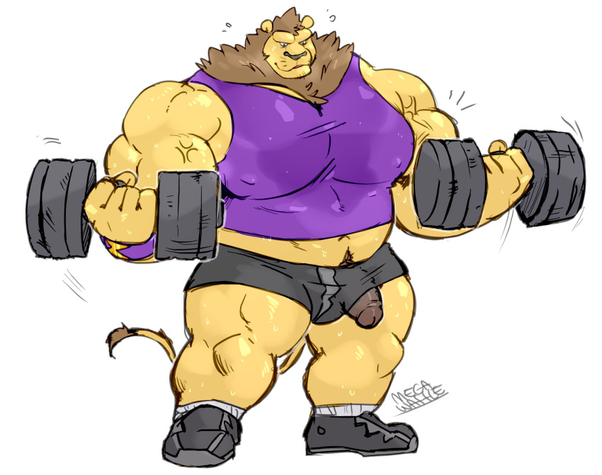 1boy 2020 5_fingers anthro biceps big_muscles black_nose bottomwear brown_hair clothing duke_(megawaffle) dumbbell exercise felid fingers footwear fur genitals hair hi_res huge_muscles humanoid_genitalia humanoid_hands humanoid_penis lion male male_only mammal mane megawaffle_(artist) muscular muscular_male nipple_outline nipples pantherine pecs penis penis_through_leghole plantigrade poking_out quads shirt shoes shorts simple_background sneakers solo solo_male stubble tank_top tight_clothing topwear weightlifting weights whiskers white_background workout yellow_body yellow_fur