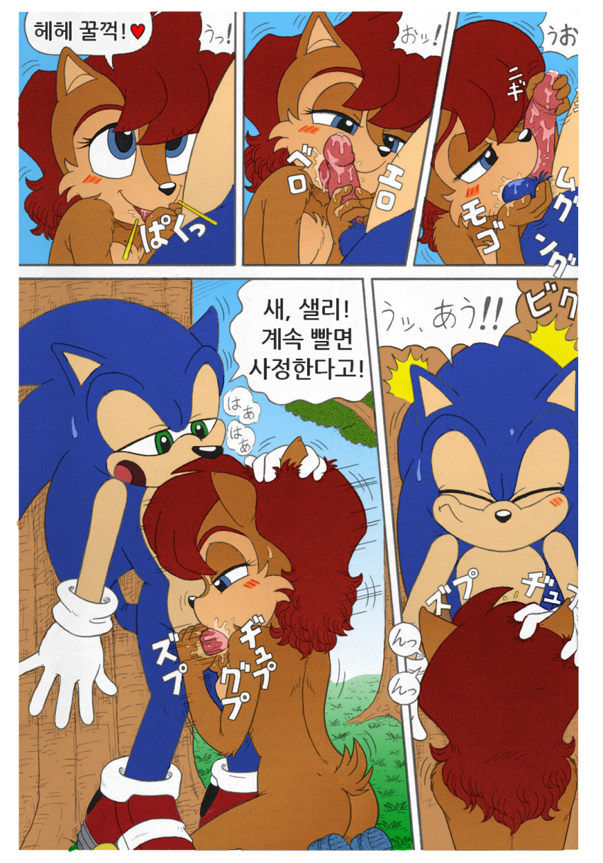 blowjob doujinshi fellatio female furry karate_akabon male outdoors saliva sally_acorn sonic_(series) sonic_the_hedgehog tagme