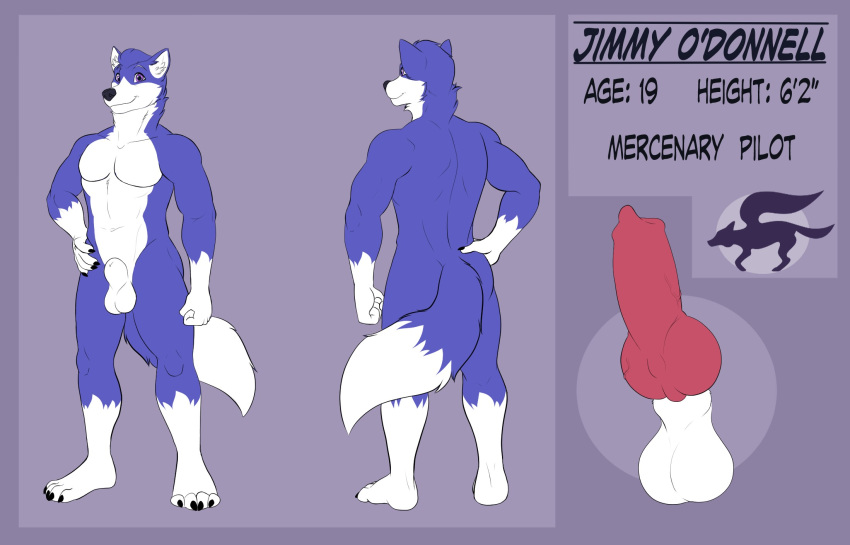 animal_genitalia animal_penis anthro balls blue_body blue_fur canid canine canine_penis canis fully_sheathed fur genitals hi_res hybrid jimmy_o'donnell knot male mammal merffle model_sheet penis purple_eyes sheath solo wolf