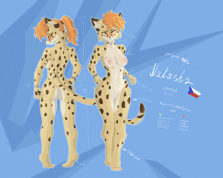 Natasha (Radimcatt) Rule 34 Image