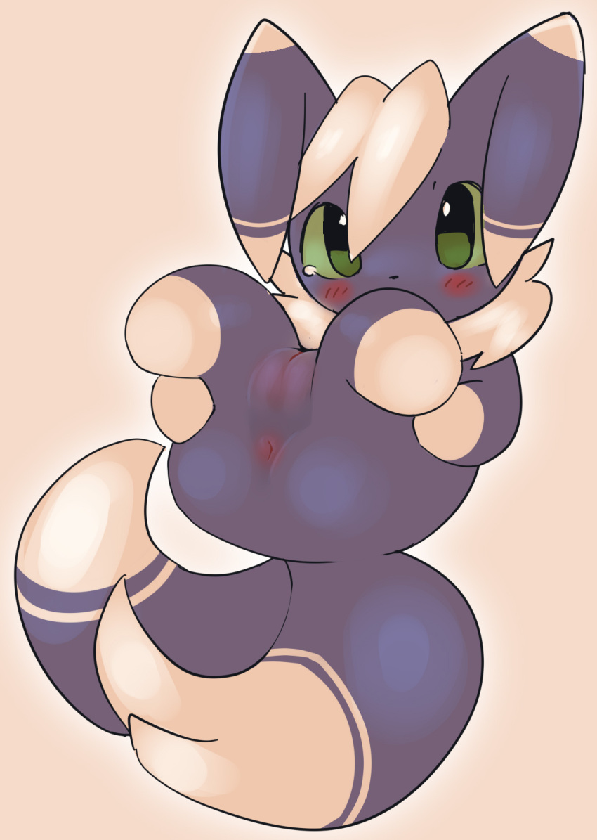 Generation 6 Pokemon (Nintendo) Rule 34 Image