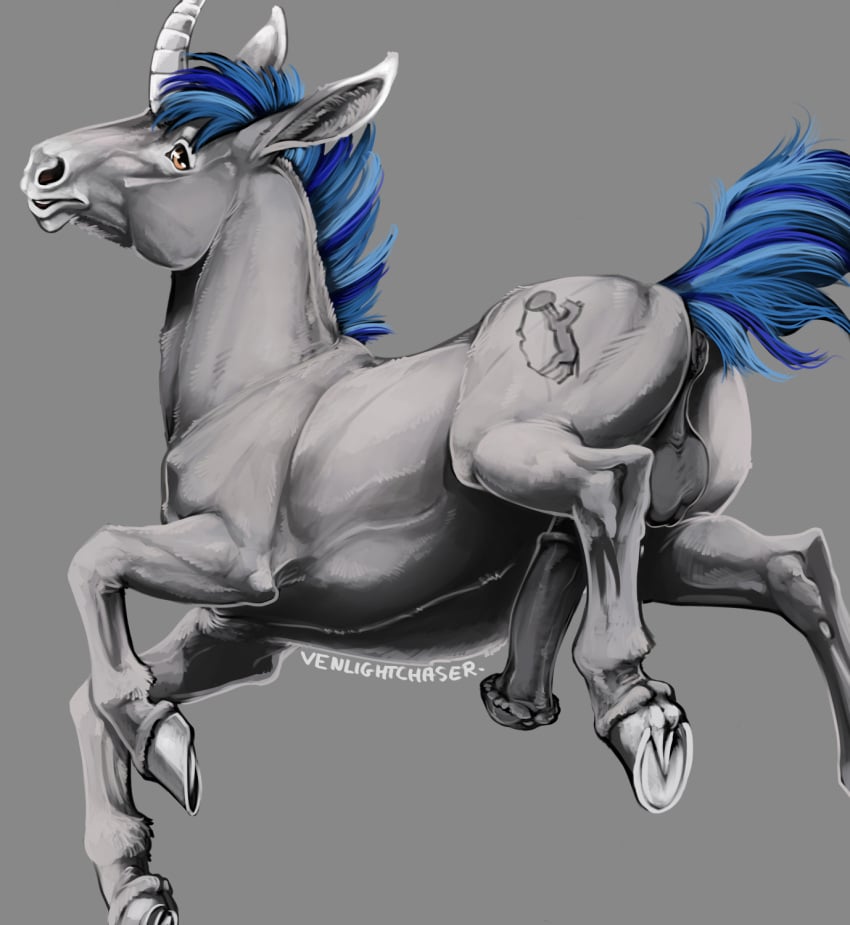 anatomically_correct anatomically_correct_genitalia anatomically_correct_penis animal_genitalia animal_penis anus ass backsack balls blue_hair blue_mane brown_eyes cutie_mark digital_media_(artwork) equid equine equine_anus equine_genitalia equine_penis erection feral fetlocks flared_penis friendship_is_magic fur genitals grey_background grey_body grey_fur hair hasbro hi_res hooves horn horse looking_at_viewer looking_back male mammal mane medial_ring multicolored_hair my_little_pony mythological_creature mythological_equine mythology penis perineum pony quadruped raised_tail signature simple_background solo tail tail_anus underhoof unicorn unicorn_horn venlightchaser