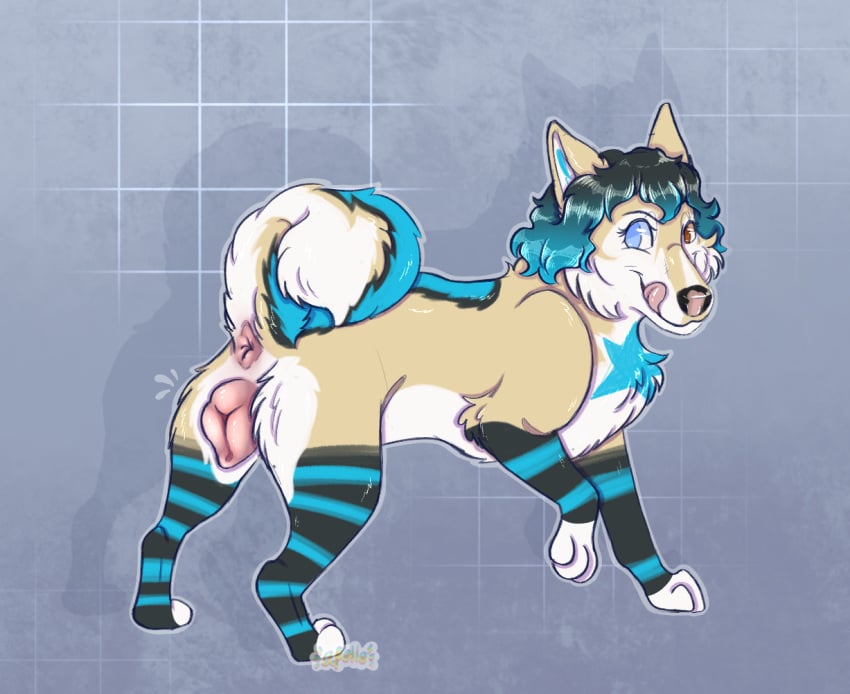 anatomically_correct anatomically_correct_anus anatomically_correct_genitalia anatomically_correct_pussy animal_genitalia animal_pussy anus apollo_sunshiba ass blue_body blue_eyes blue_fur blue_hair blue_tail canid canine canine_genitalia canine_pussy canis cheek_tuft countershading curled_hair curled_tail digital_drawing_(artwork) digital_media_(artwork) domestic_dog eyebrows eyelashes facial_tuft female feral fluffy fluffy_tail fur genitals hair heterochromia highlights_(coloring) licking licking_lips licking_own_lips looking_at_viewer looking_back mammal markings monotone_anus multicolored_body multicolored_fur multicolored_hair neck_tuft outline pattern_background paws pink_anus pink_pussy pink_tongue presenting presenting_anus presenting_hindquarters presenting_pussy pussy quadruped raised_leg raised_tail rear_view self_lick signature simple_background solo sparklefur standing stripes tail tail_anus tan_body tan_fur tongue tongue_out tuft white_body white_fur