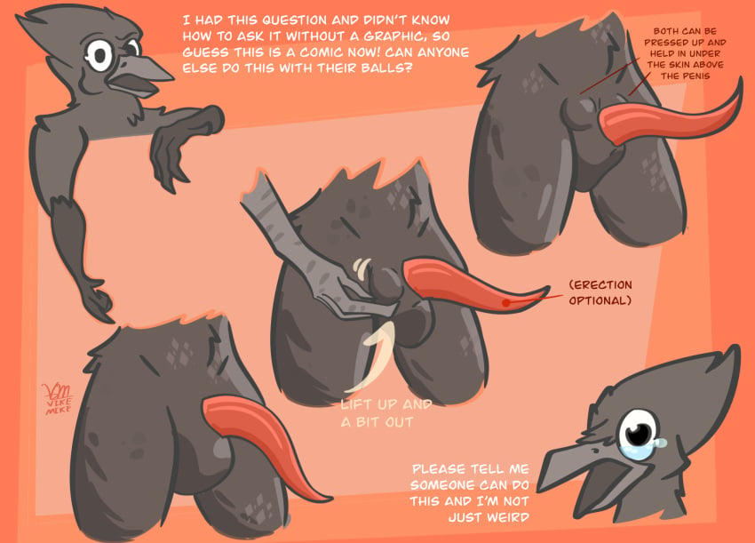 animal_genitalia animal_penis anthro arrow_pointing_to_crotch asking_viewer avian avian_arms ball ball_fondling balls balls_above_penis balls_focus beak becoming_erect bird bodily_fluids breaking_the_fourth_wall cetacean_genitalia cetacean_penis corvid corvus_(genus) crow curved_penis demonstration dialogue digital_drawing_(artwork) digital_media_(artwork) directional_arrow disembodied_hand disembodied_head empty_scrotum erection eyebrows flaccid fondling genital_focus genitals gesture half-erect hand_gesture hi_res holding_ball holding_object looking_at_viewer male non-mammal_balls nude nude_anthro nude_male open_beak open_mouth oscine passerine penis penis_focus pointing pointing_down question raised_eyebrow simple_background solo talking_to_viewer tapering_penis tears text touching_balls vike_mike