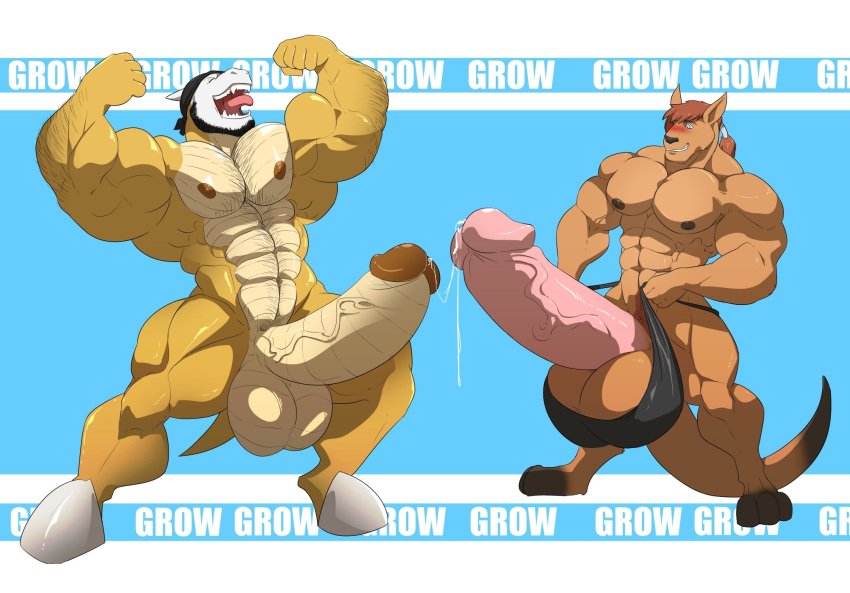 2019 2boys 3_toes abs anthro anthrofied areola balls bandana bara barazoku beard biceps big_balls big_muscles big_penis big_testicles black_hair black_nose blue_eyes blush bodily_fluids body_hair brown_body brown_fur brown_hair brown_nipples chest_hair closed_eyes clothing duo erection eyebrows facial_hair flexing fur furry genital_fluids growth hairy happy_trail hi_res hooves horn huge_balls huge_muscles huge_penis huge_testicles humanoid_genitalia humanoid_penis hyper hyper_balls hyper_genitalia hyper_muscles hyper_penis hyper_testicles kangaroo kartos long_hair macropod male male_only mammal marowak marsupial mostly_nude muscular muscular_male navel nintendo nipples nude open_mouth pecs penis pink_penis pokémon_(species) pokemon pokemon_(species) pokemon_rgby pokemorph ponytail precum pubic_hair quads raised_arm serratus sharp_teeth short_hair smile standing teeth testicles text thong toes tongue tongue_out triceps underwear veins veiny_penis video_games watermark yellow_body yellow_skin