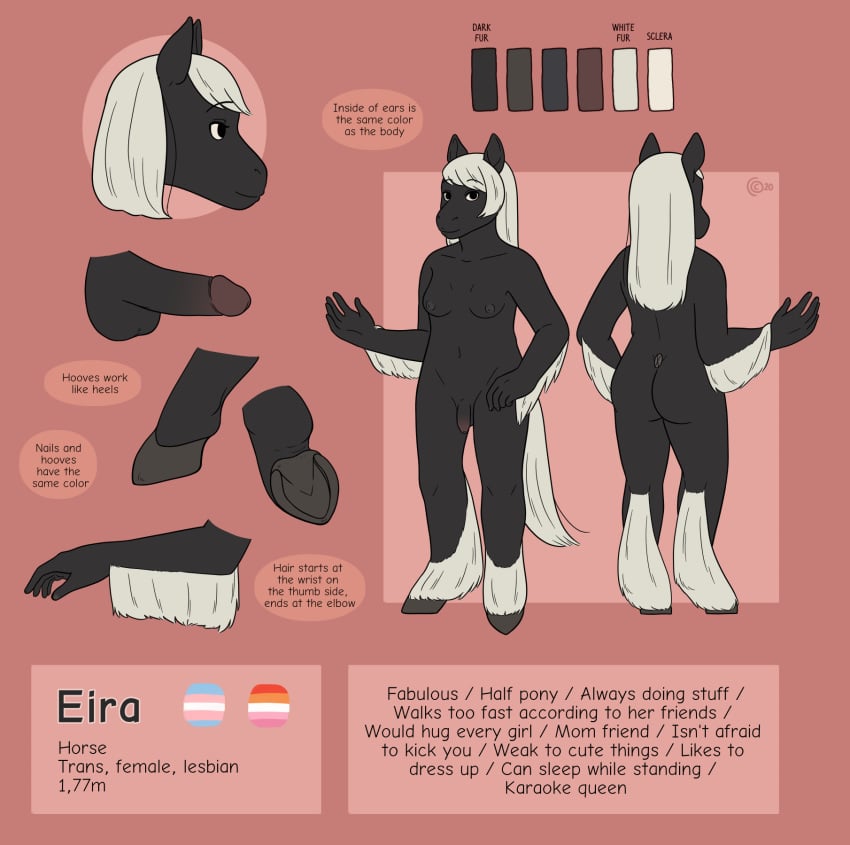 1futa anthro areolae ass balls breasts chubby eira english_text equid equine erect_nipples erection flaccid frikinky furry futa_only futanari genitals hi_res hooves horse intersex large_ass mammal medium_breasts model_sheet nipples nude penis small_penis solo text