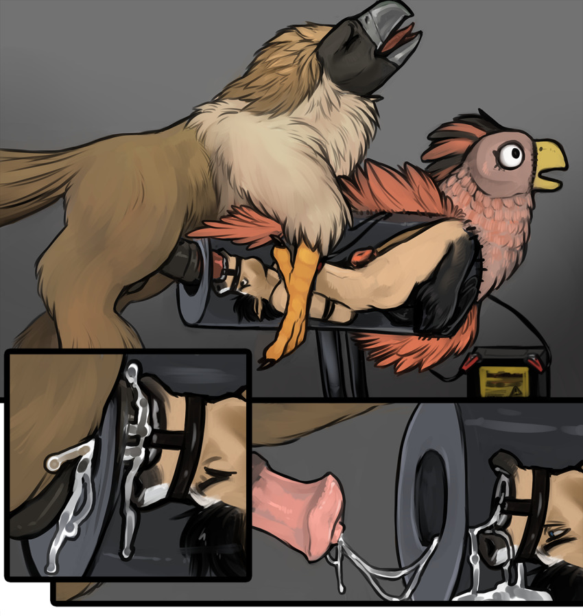 anthro avian bound breeding_mount chastity_cage chastity_device duo equid equine european_mythology feral gag greek_mythology hi_res hippogriff male male/male male_only mammal mythological_avian mythology pasiphae_structure pirate_eagle ring_gag