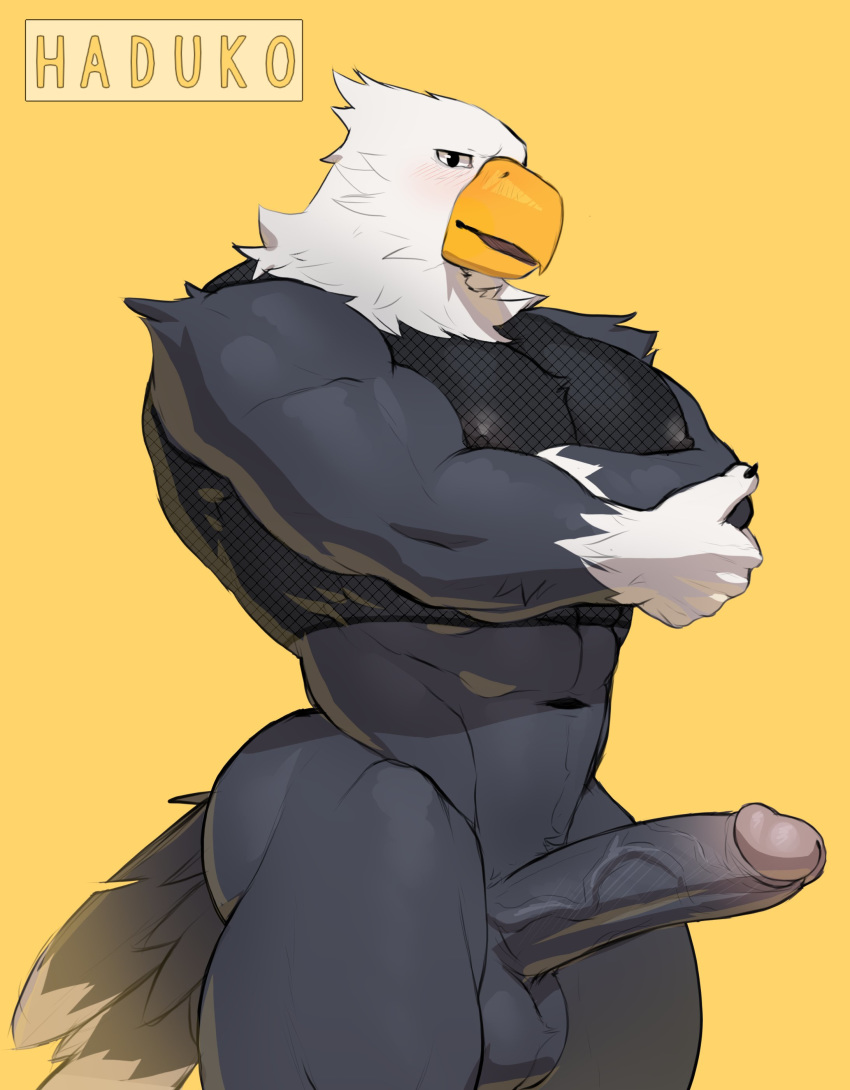 2020 absurd_res animal_crossing anthro apollo_(animal_crossing) avian erection furry genitals haduko1 hi_res male male_only muscular muscular_male navel nintendo pecs penis simple_background standing video_games