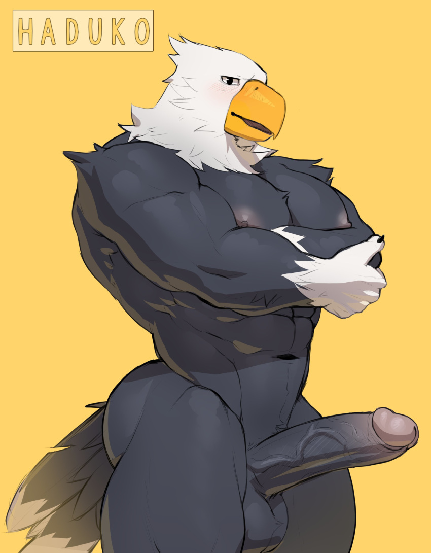 2020 absurd_res animal_crossing anthro apollo_(animal_crossing) avian erection furry genitals haduko1 hi_res male male_only muscular muscular_male navel nintendo pecs penis simple_background standing video_games