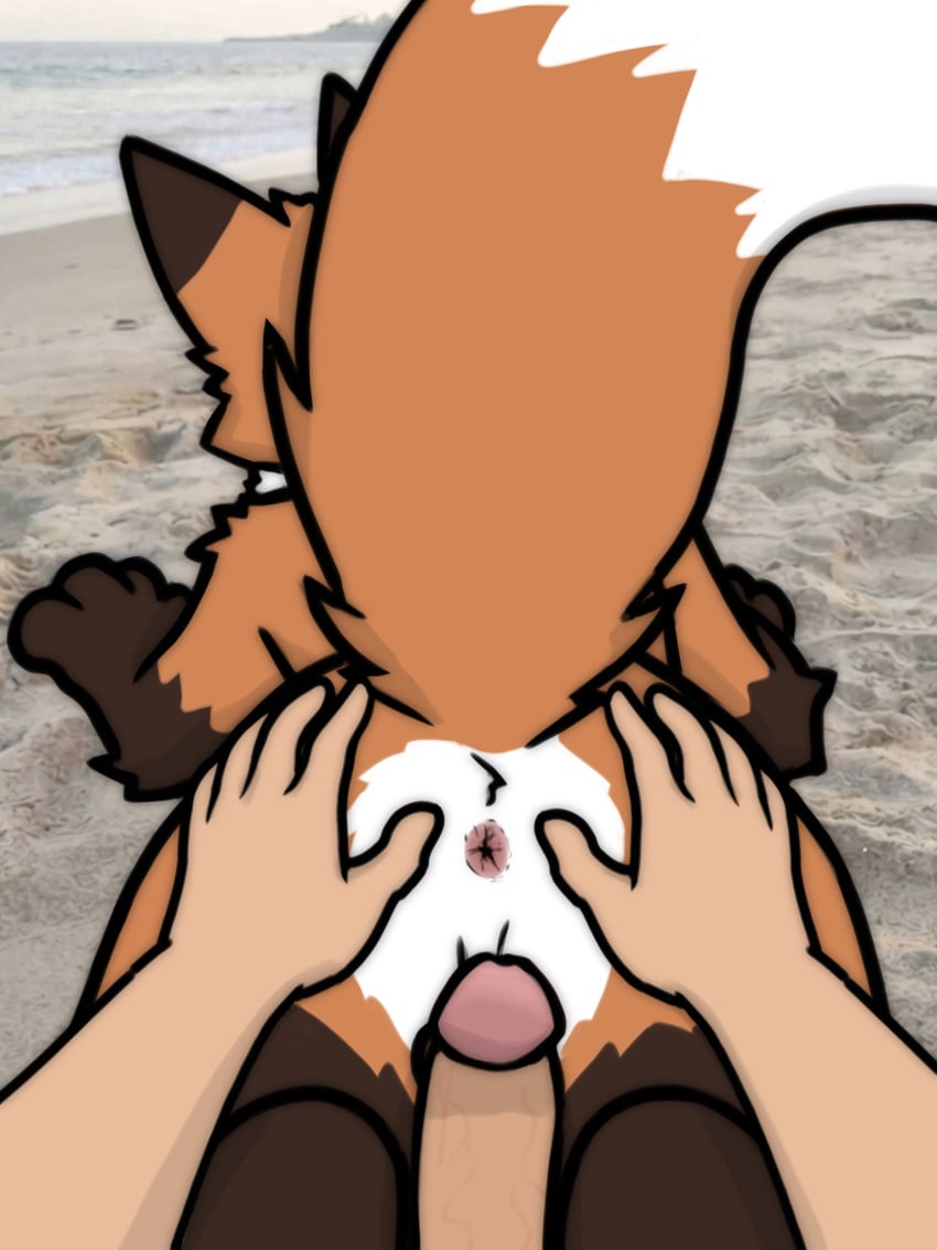 3:4 Rule 34 Image