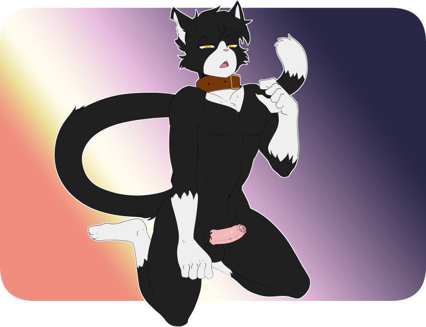 Socks (Marking) Rule 34 Image