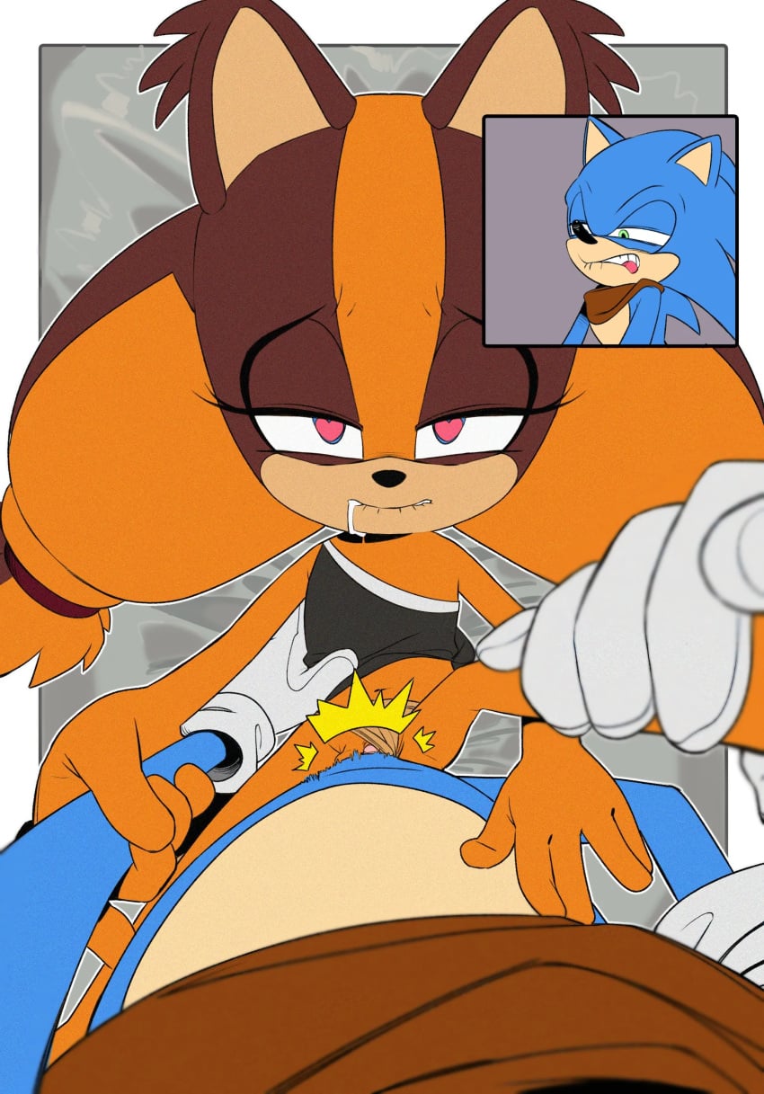 Sonic The Hedgehog (Sonic (Series)) Rule 34 Image