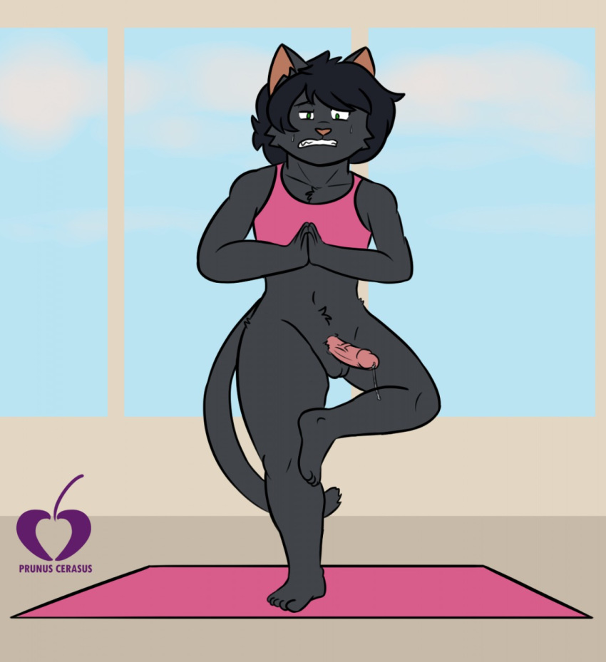 anthro bodily_fluids cum_leaking digital_media_(artwork) domestic_cat felid feline felis genital_fluids genitals girly hi_res male mammal nate_(character) penis precum prunuscerasus_(artist) simple_background solo solo_focus sweat watermark yoga yoga_mat