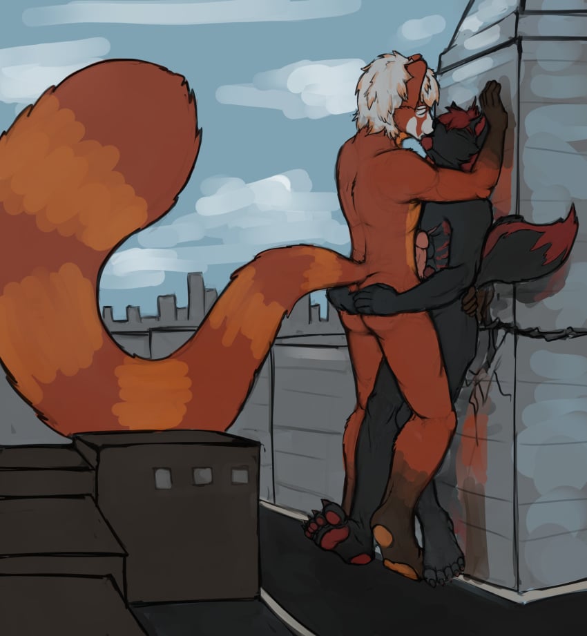 2013 against_wall ailurid anthro ass black_body black_fur building butt_grab canid canine canis city closed_eyes destruction duo embrace erection fluffy fluffy_tail frottage fur genitals hand_on_butt hi_res humanoid_genitalia humanoid_penis kissing larger_male macro male male/male mammal nommz nude outside pawpads paws penis red_body red_fur red_panda sex size_difference size_play smaller_male toes wolf